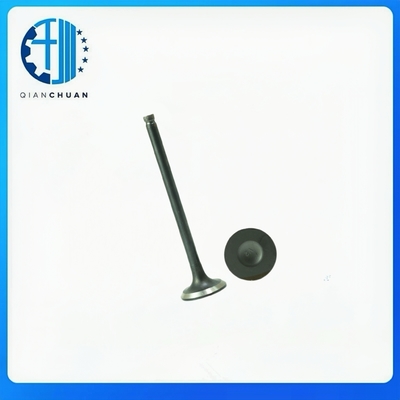 Valve 423016 423017 For Volvo  S40 S60 S80  Diesel Engine Spare Parts construction Machinery